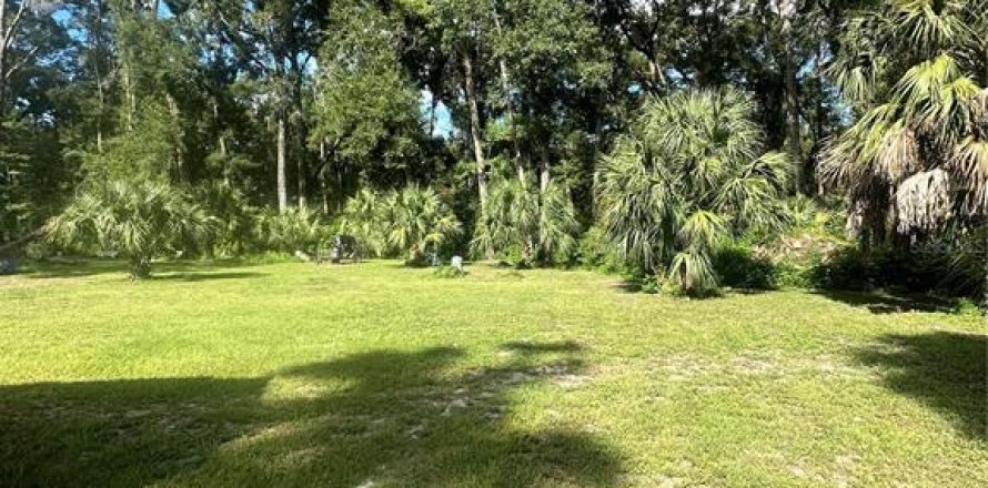 Land in Chiefland, Florida № 1885311