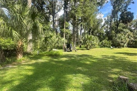 Land in Chiefland, Florida № 1885311 - photo 5