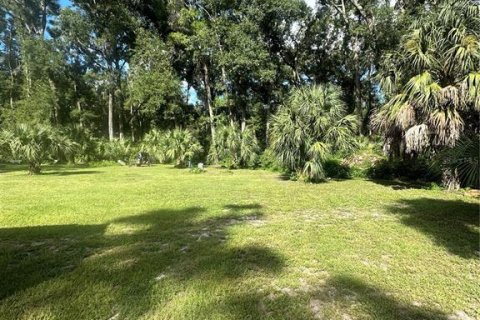 Land in Chiefland, Florida № 1885311 - photo 6