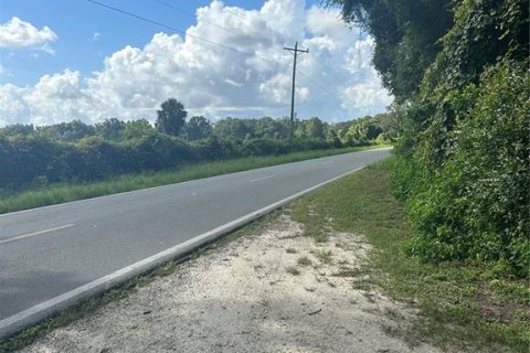 Land in Chiefland, Florida № 1885311 - photo 13