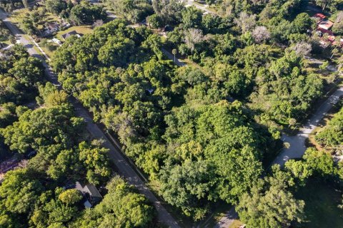 Land in De Leon Springs, Florida № 2163300 - photo 4