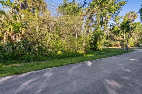 Land in De Leon Springs, Florida № 2163300