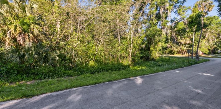 Land in De Leon Springs, Florida № 2163300