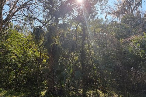Land in De Leon Springs, Florida № 2163300 - photo 5