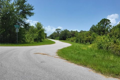 Land in Port Charlotte, Florida № 2162950 - photo 3