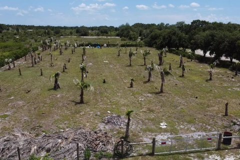 Immobilier commercial à vendre à Okeechobee, Floride № 2182937 - photo 6