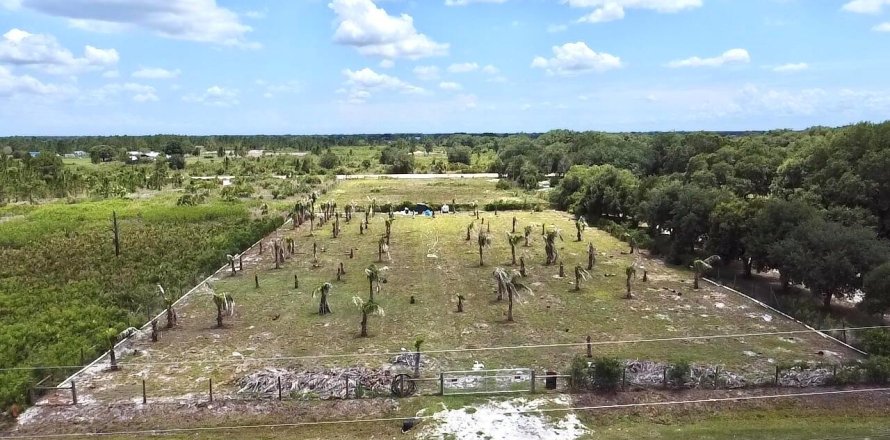 Immobilier commercial à Okeechobee, Floride № 2182937