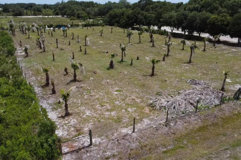 Immobilier commercial à vendre à Okeechobee, Floride № 2182937 - photo 4