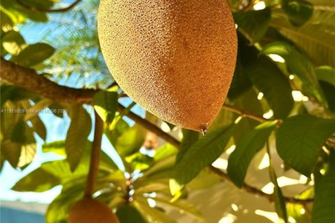 Villa ou maison à vendre à Miami, Floride: 3 chambres, 94.3 m2 № 1974837 - photo 27