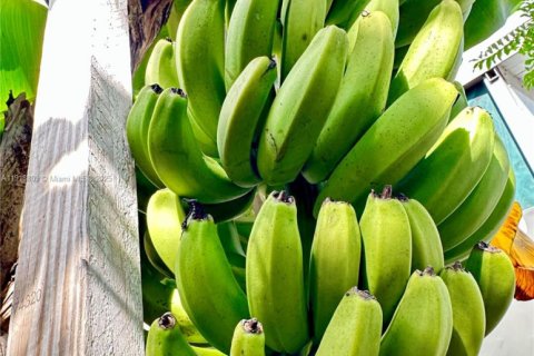 Villa ou maison à vendre à Miami, Floride: 3 chambres, 94.3 m2 № 1974837 - photo 29