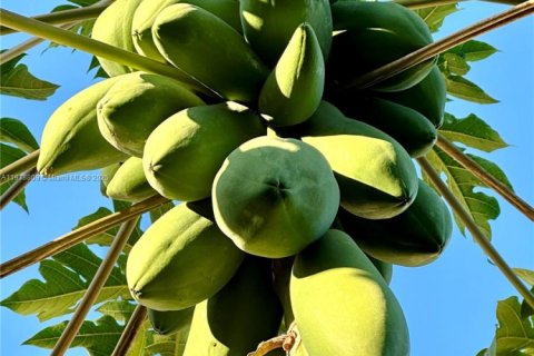 Villa ou maison à vendre à Miami, Floride: 3 chambres, 94.3 m2 № 1974837 - photo 28