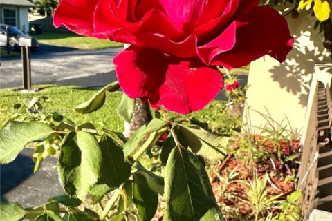 Villa ou maison à vendre à Miami, Floride: 3 chambres, 94.3 m2 № 1974837 - photo 4