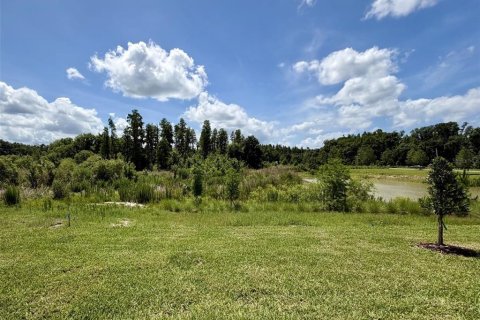 Villa ou maison à louer à Zephyrhills, Floride: 4 chambres, 156.73 m2 № 2147656 - photo 17