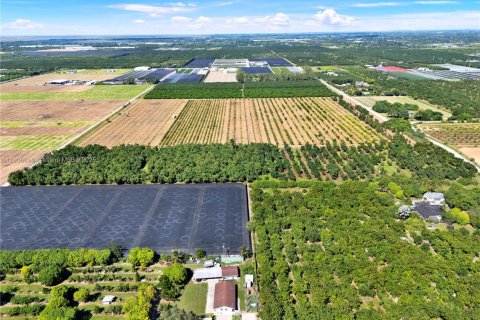 Commercial property in Homestead, Florida № 1956655 - photo 7