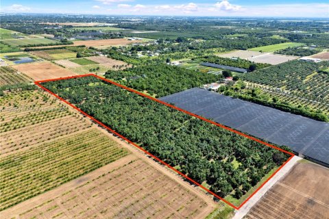 Commercial property in Homestead, Florida № 1956655 - photo 2