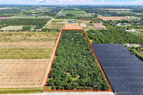 Commercial property in Homestead, Florida № 1956655 - photo 3