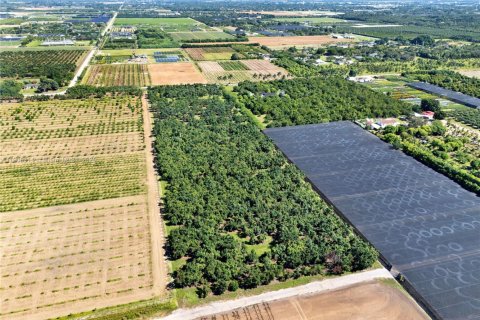 Commercial property in Homestead, Florida № 1956655 - photo 4