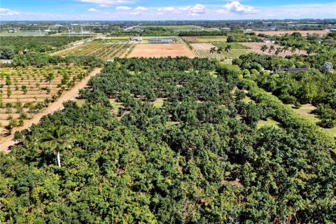 Commercial property in Homestead, Florida № 1956655 - photo 5