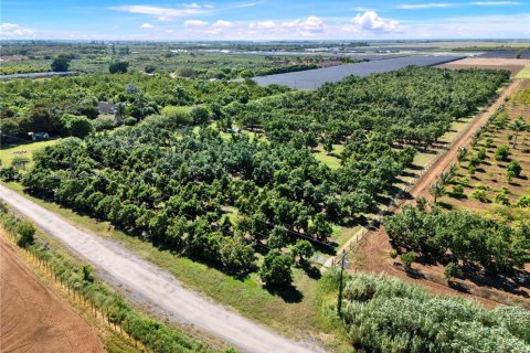 Commercial property in Homestead, Florida № 1956655 - photo 9