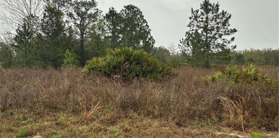 Land in Ocala, Florida № 1577550