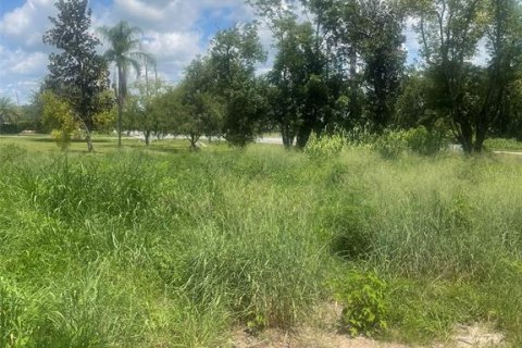 Commercial property in Groveland, Florida № 1782778 - photo 4