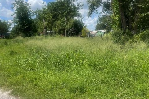 Commercial property in Groveland, Florida № 1782778 - photo 2