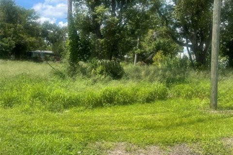 Commercial property in Groveland, Florida № 1782778 - photo 1