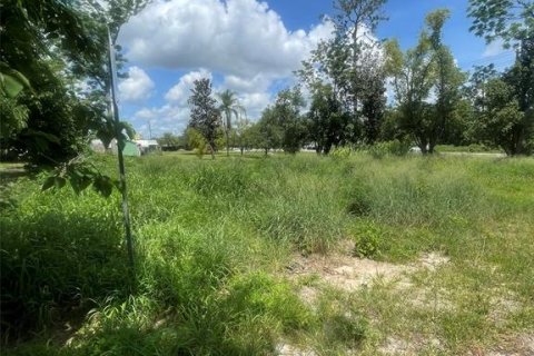 Commercial property in Groveland, Florida № 1782778 - photo 8