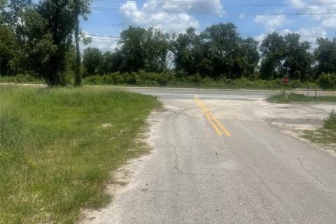 Commercial property in Groveland, Florida № 1782778 - photo 5