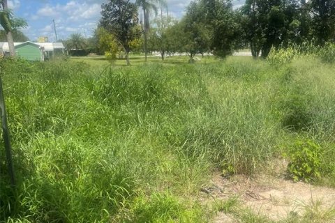 Commercial property in Groveland, Florida № 1782778 - photo 3