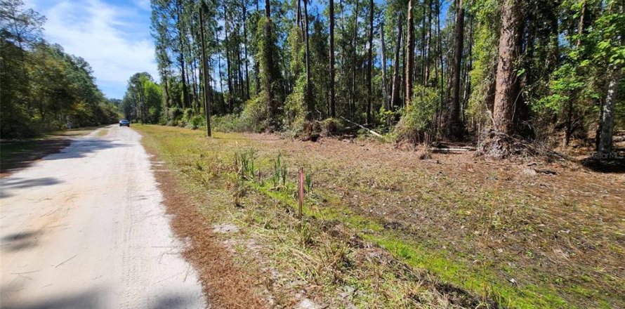 Land in Georgetown, Florida № 2160667