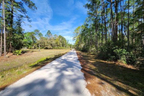 Land in Georgetown, Florida № 2160667 - photo 2
