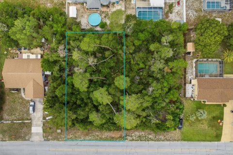Terreno en Spring Hill, Florida № 2195550