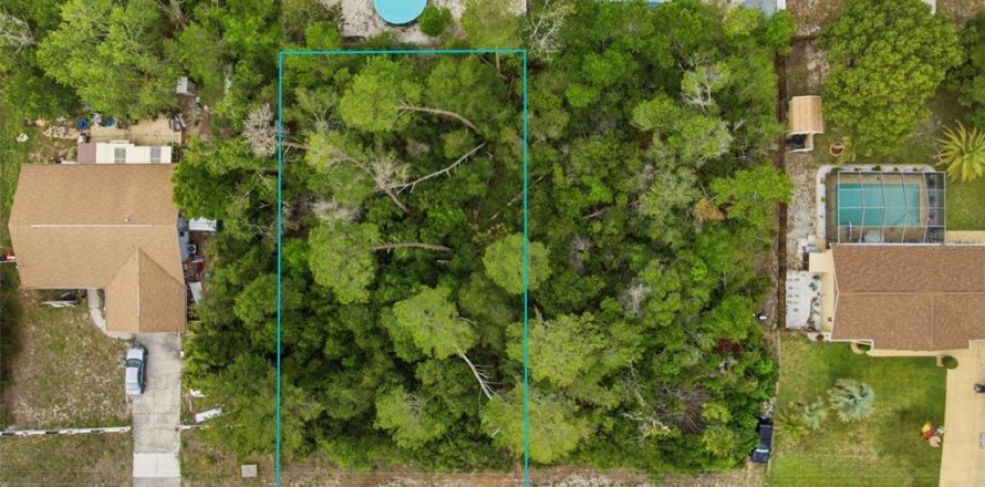 Land in Spring Hill, Florida № 2195550