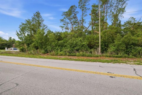 Land in Spring Hill, Florida № 2195550 - photo 4