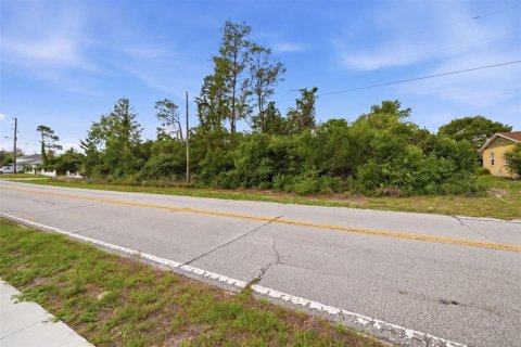 Land in Spring Hill, Florida № 2195550 - photo 10