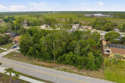 Land in Spring Hill, Florida № 2195550 - photo 5