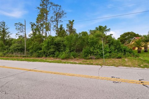 Land in Spring Hill, Florida № 2195550 - photo 7