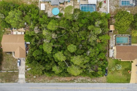 Land in Spring Hill, Florida № 2195550 - photo 6