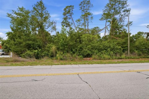 Land in Spring Hill, Florida № 2195550 - photo 9