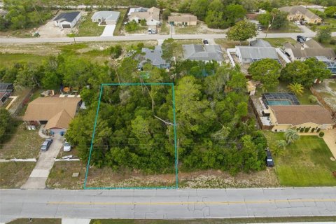 Land in Spring Hill, Florida № 2195550 - photo 3