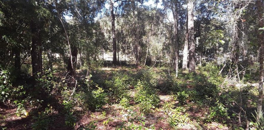 Terreno en Punta Gorda, Florida № 2206128