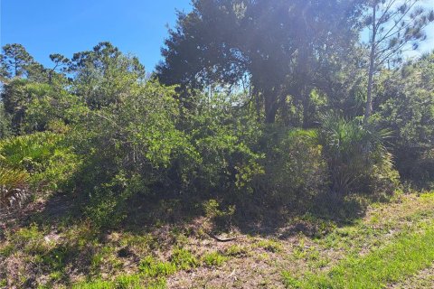Land in Port Charlotte, Florida № 2204882
