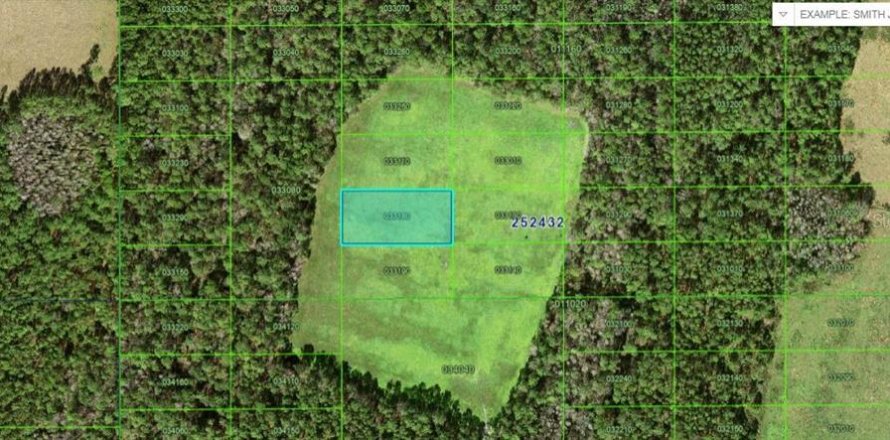 Terrain à Polk City, Floride № 2235093
