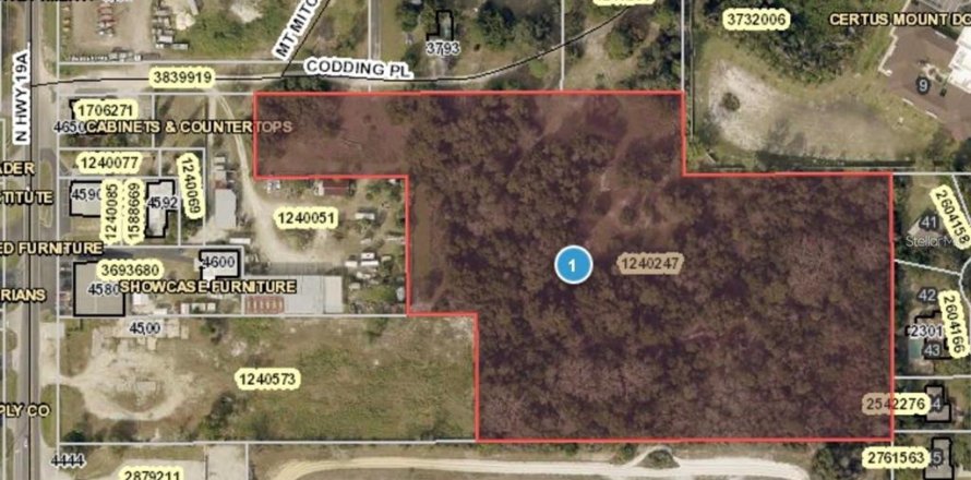 Land in Mount Dora, Florida № 2122418