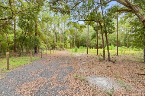 Land in Brooksville, Florida № 2342022