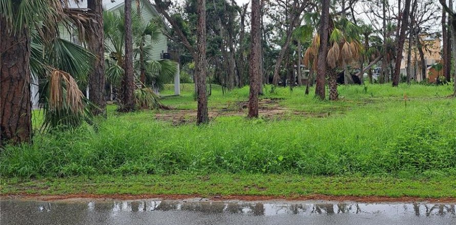 Terreno en Steinhatchee, Florida № 1858120