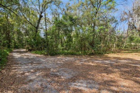 Terrain à vendre à Maitland, Floride № 1554033 - photo 4