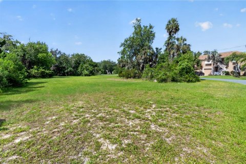 Terrain à vendre à Homosassa, Floride № 2213584 - photo 4