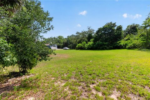 Terrain à vendre à Homosassa, Floride № 2213584 - photo 6